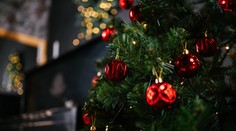 Zdobíte stromček klasickými žiarovkami? Iným variantom spotrebujete výrazne menej energie