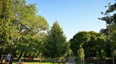 Spŕchne len výnimočne. Čaká nás prevažne slnečný začiatok týždňa