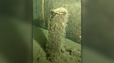 Dánsko vytiahlo predmet z mora neďaleko poškodeného plynovodu Nord Stream 2. Už je jasné, čo to je