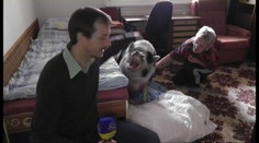 Prasiatku Lucke sa nepáčil náš redaktor, takto po ňom vyskočila