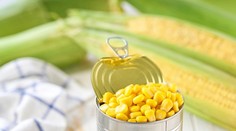 Dvojročné dieťa skončilo na umelej ventilácii. O život ho takmer pripravila obyčajná kukurica