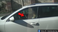 Telefonujete za volantom? Policajti majú jednoduchý, ale účinný spôsob, ako vás odhalia
