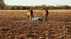Pozrite si mestečko, kde už dva roky nepršalo. Možno čoskoro zanikne