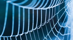 Prelomový objav: V USA vyrobili materiál, ktorý je pevnejší ako pavúčie vlákno