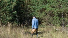 VIDEO: Z jeho tajného miesta mizli huby, tak tam dal kameru. Hubára prekvapilo, čo videl na zázname