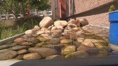 Smädné zvieratá v mestách sa uchyľujú k zúfalým krokom. Na tomto sídlisku mysleli aj na nich