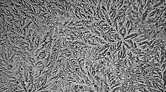 Ľudské slzy pod mikroskopom: Nebudete veriť vlastným očiam!