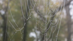 Na Slovensko sa vrátia letné teploty. Čaká nás krásne babie leto