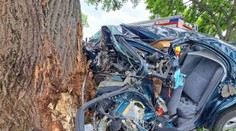 Tragická dopravná nehoda v Šali: Auto narazilo do stromu, o život prišiel 48-ročný muž