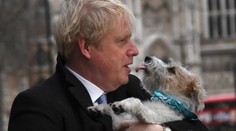 Premiér Johnson je v izolácii po kontakte s osobou s Covid-19