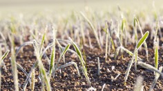 SHMÚ varuje pred mrazom na severe a časti východného Slovenska