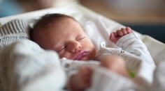 Rodičia pomenovali svojho syna po tomto jedle. Úradníci nechápavo krútili hlavami