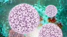 Strašiak zvaný HPV. Viete ako sa brániť?