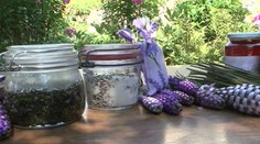 Netradične sa vraciame k tradičným veciam