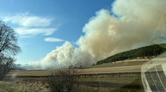 Vypaľovanie suchej trávy sa pod Tatrami vymklo spod kontroly. Plamene zachvátili aj les
