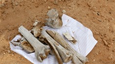 Neďaleko Košíc našli pozostatky ľudskej nohy