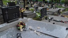 Skupina medveďov zdemolovala cintorín v Ružomberku