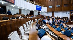Parlament bude na mimoriadnej schôdzi rokovať o agresivite na opozičných mítingoch