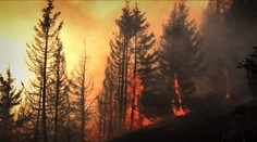 V Bielych Karpatoch hasilo veľký lesný požiar 20 tímov