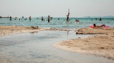 Na Malorke museli po útoku morského predátora zatvoriť pláž. Žene vytrhol z lýtka kus mäsa