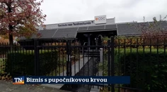 Biznis s pupočníkovou krvou
