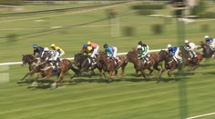 Dostihy nie sú len pre britských aristokratov. Tradícia žije aj v Petržalke