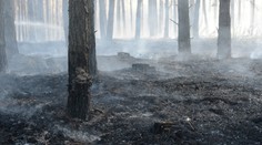 Vo vojenskom obvode na Záhorí objavili mŕtvolu neznámeho muža