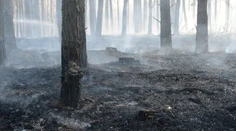 Vo vojenskom obvode na Záhorí objavili mŕtvolu neznámeho muža