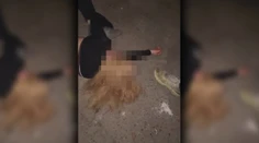 Šokujúce vyčíňanie tínedžerov pri Bratislave. Do maloletej liali alkohol, bili ju a nahrávali