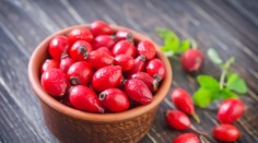 Obdobie šípok je tu. Čo s nimi a ako nám pomáhajú