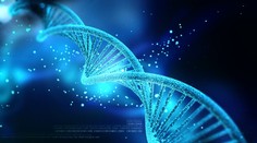 Vedci vytvorili tabletku na dlhovekosť