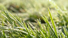 Slovensku hrozí májový mráz. Dorazí v noci