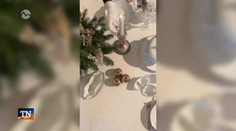 Zámocká atmosféra Vianoc