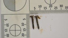 Policajti v Nových Zámkoch zadržali muža, ktorý na ulici rozhadzoval smrteľné návnady pre psov