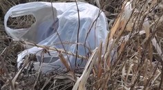 Novorodenec z Námestova žil iba pár minút. Matka ho zadusila