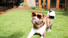 Zajtra to vypukne. Kde bude 20 stupňov?