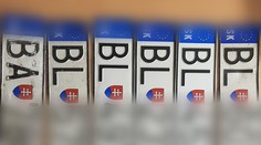 Revolúcia v ŠPZ tak skoro nebude. Odkladá sa o rok