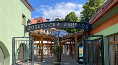 Bojnická zoo dvíha vstupné. Len na krmivo míňame 1 000 eur za deň, reaguje vedenie