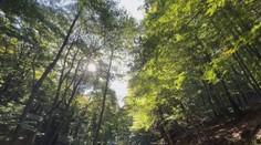 Nie každý má odvahu vybrať sa tam. Pri Nitre vzniká tajomný zážitkový chodník