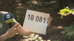 Núdzová linka pre strety s medveďom začne fungovať od pondelka. Vieme podrobnosti