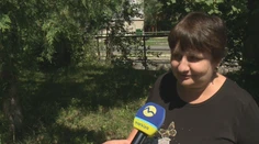 Od nešťastia ju delili sekundy. Ivana opísala, ako stretla medvedicu s mláďaťom na dedinskej ceste