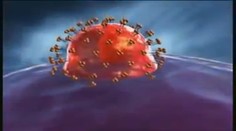 Krvavé hnačky, zvracanie. Deti ohrozuje vysokoinfekčný rotavírus