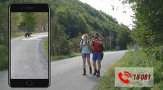 Linka na nahlasovanie stretov s medveďom končí. Firma, ktorá ju prevádzkovala, dostala novú zákazku