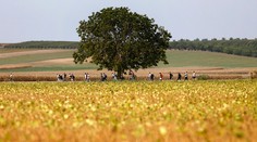 Chorváti sú zúfalí! Nová trasa migrantov do EÚ vedie cez ich krajinu