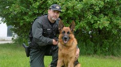 Nie Rex, ale Vels! Vlčiak v Bratislave vyňuchal zlodeja, ktorý sa vyhýbal base