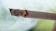 Chlapec (17) pri Snine odhodil ohorok a spustila sa hotová pohroma. Celá dedina ostala bez elektriny