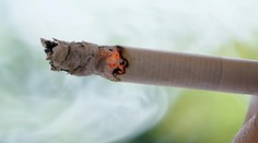 Chlapec (17) pri Snine odhodil ohorok a spustila sa hotová pohroma. Celá dedina ostala bez elektriny