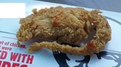 Hnus! Medzi vyprážanou kuracinou vraj našiel potkana