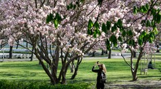 Začala sa meteorologická jar. Zima to už zabalila, ale posledné slovo ešte nepovedala