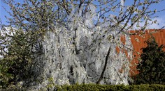 Jarné teploty vystriedali mrazy. Pozrite sa, kde bolo ráno najchladnejšie